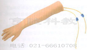 護理模型|高級手臂靜脈穿刺訓練模型