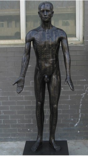 十四經穴針灸銅人|現代版針灸銅人|針灸銅人(真銅全銅 170CM 成人型)