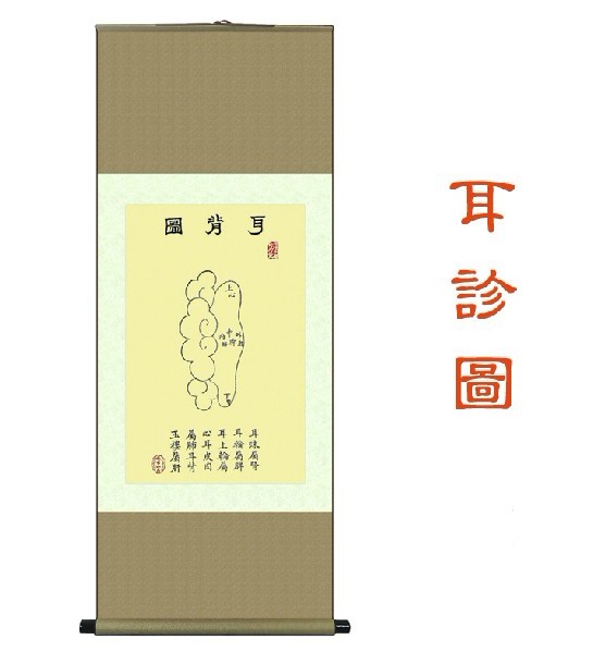 耳背圖